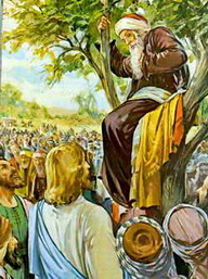 Zacchaeus on the  tree